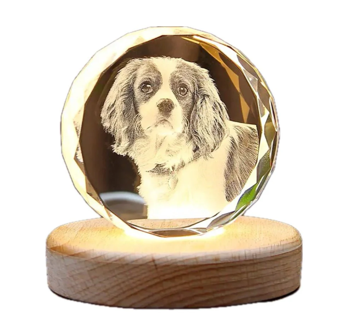 Personalized 3D Laser-Engraved Pet Photo Memorial Crystal™