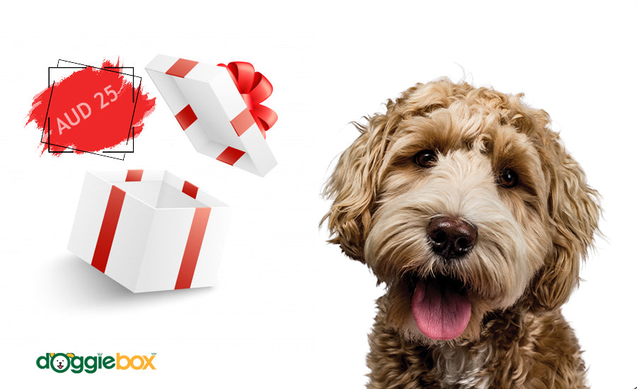 Gift Card - doggiebox Australia
