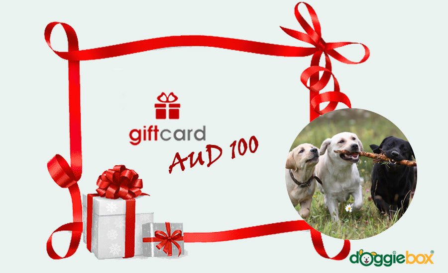 Gift Card - doggiebox Australia