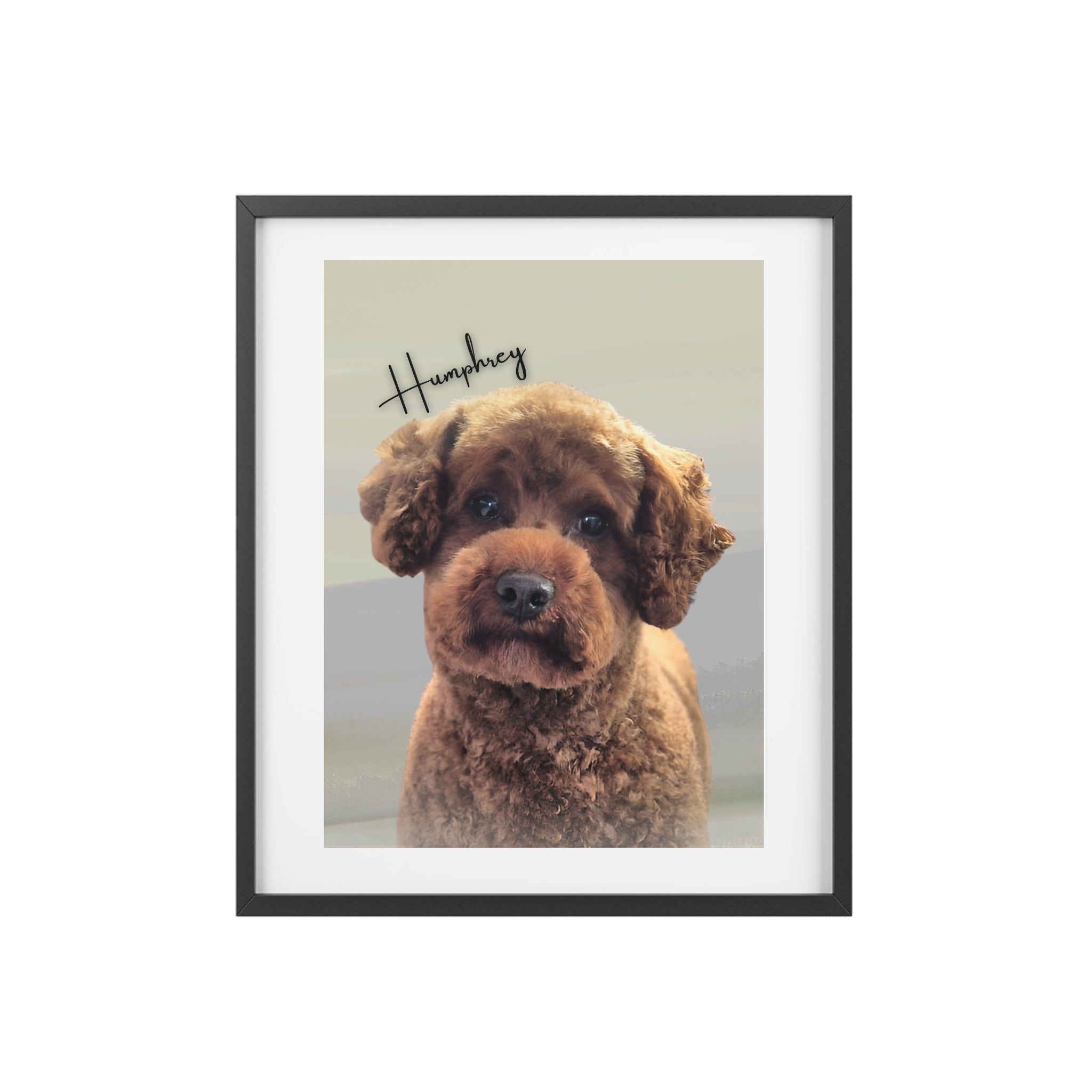 (Humphrey ) Playful Dog Framed Poster