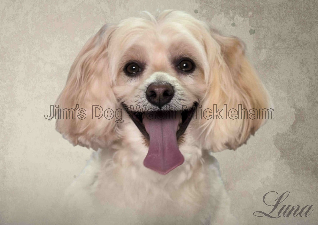 Custom Pet Portrait