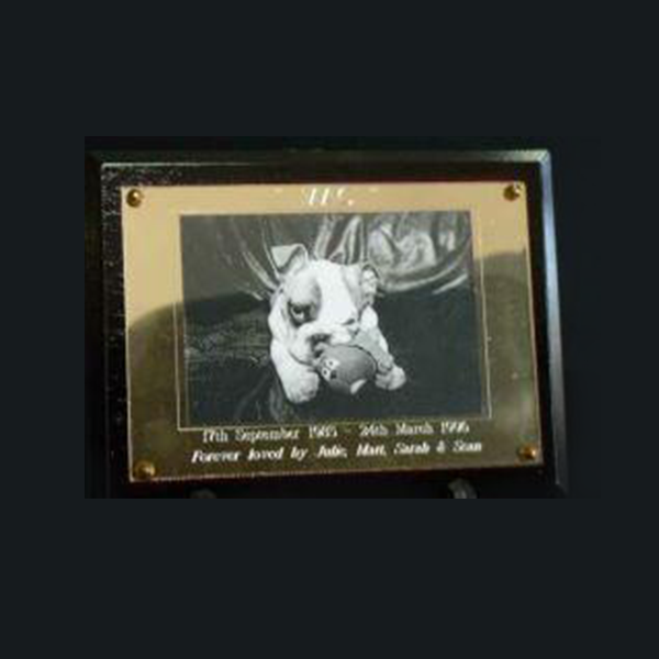 Rosewood Gloss Plaque (200x150mm) - doggiebox Australia