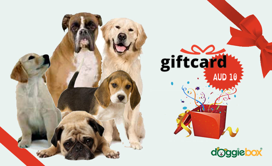 Gift Card - doggiebox Australia