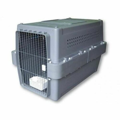 Airline Approved Pet Crates for Dogs and Cats PP70 (XX Large) - doggiebox Australia